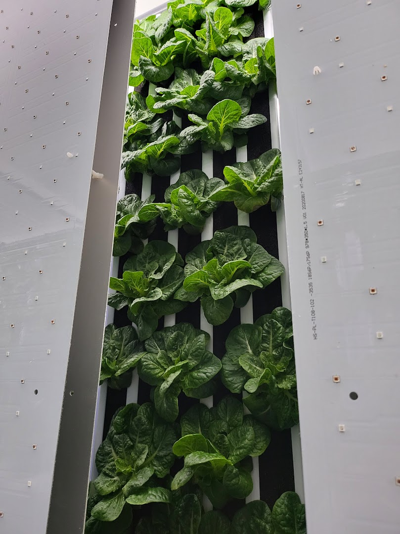 Vertical Farming 3